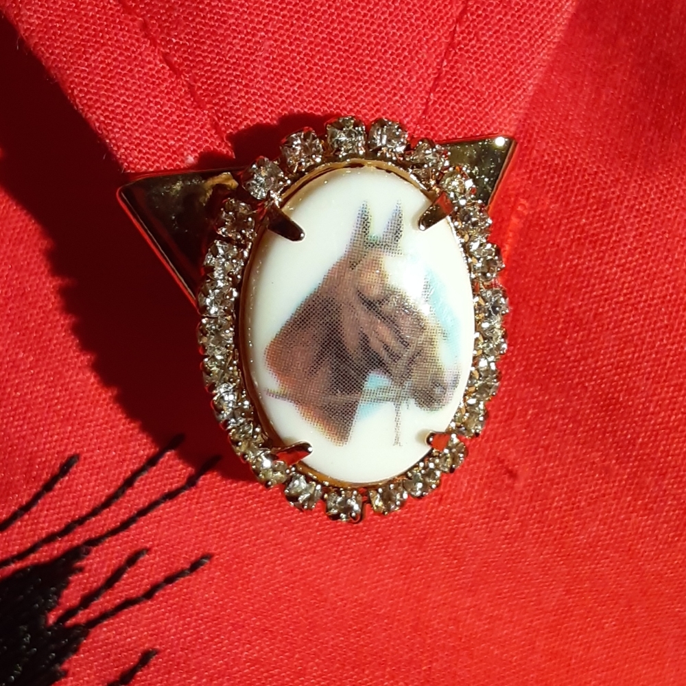 Horse Portrait Western Collar Tips